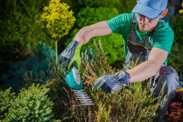 landscaping services Bridge City